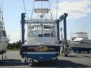 saltwater cowboy's picture