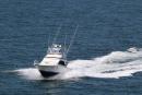 Blackfin Mike's picture