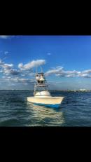 colstonblackfin27's picture