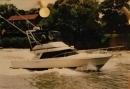 swilde18's picture