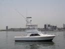threadfin's picture
