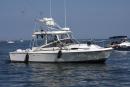 seahawk's picture