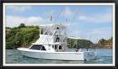 DreamOnSportFishing's picture