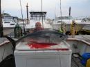 32blackfin's picture