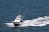 Blackfin Mike's picture Blackfin Mike's picture